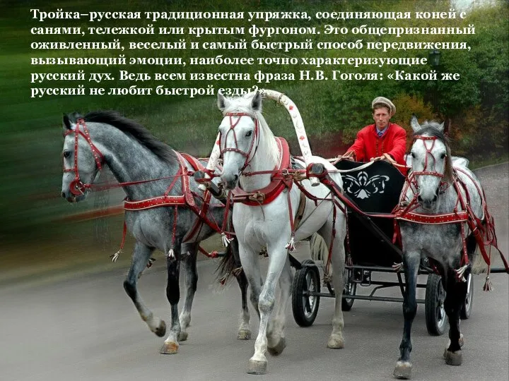 Тройка–русская традиционная упряжка, соединяющая коней с санями, тележкой или крытым фургоном.