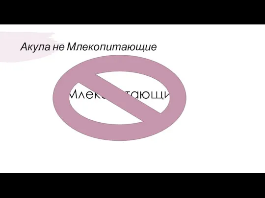 Акула не Млекопитающие Млекопитающие