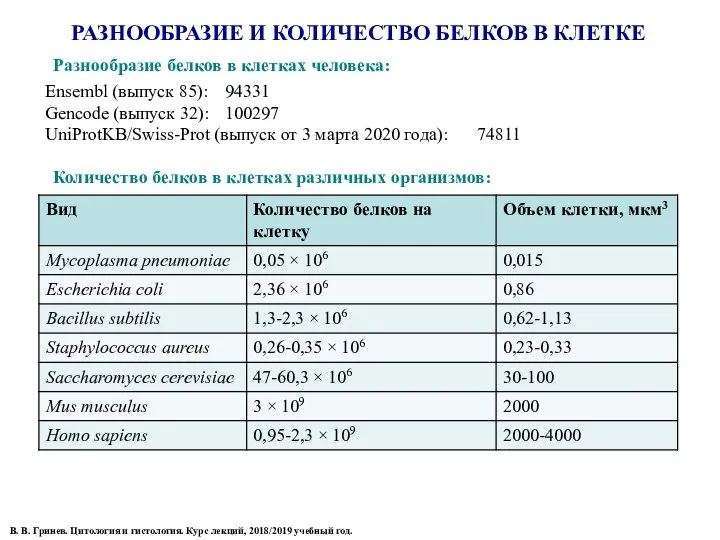 РАЗНООБРАЗИЕ И КОЛИЧЕСТВО БЕЛКОВ В КЛЕТКЕ В. В. Гринев. Цитология и