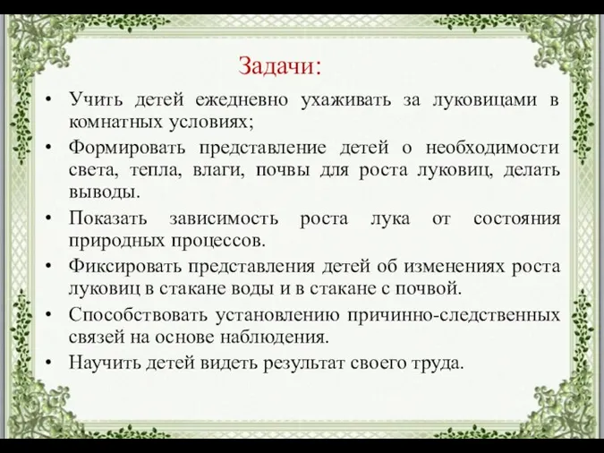 Задачи: Учить детей ежедневно ухаживать за луковицами в комнатных условиях; Формировать