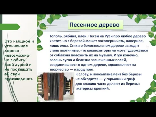 Это изящное и утонченное дерево невозможно не любить всей душой и не посвящать ей свои произведения.