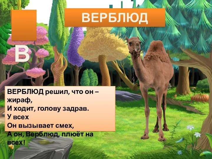 ВЕРБЛЮД ВЕРБЛЮД решил, что он – жираф, И ходит, голову задрав.