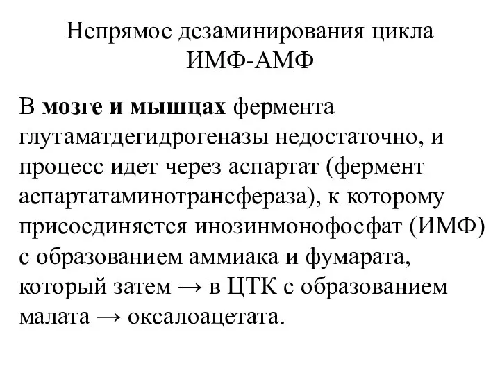 Непрямое дезаминирования цикла ИМФ-АМФ В мозге и мышцах фермента глутаматдегидрогеназы недостаточно,