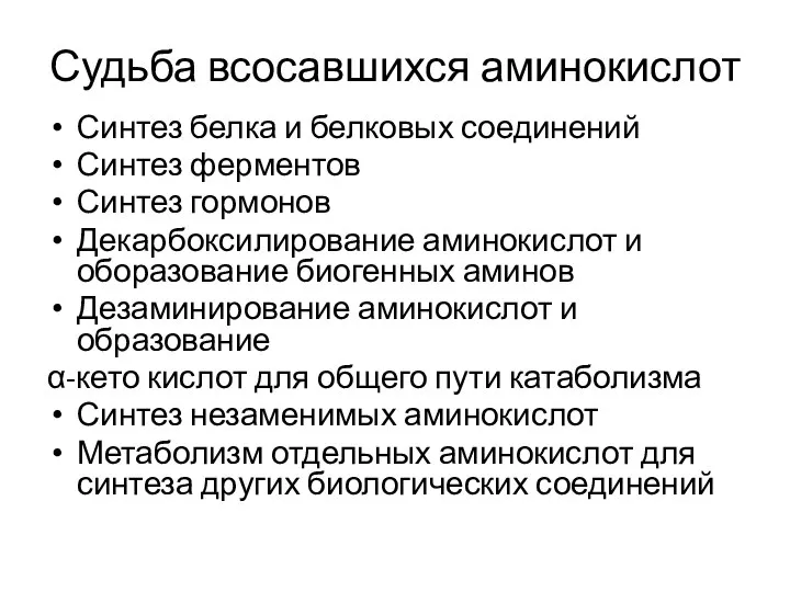 Судьба всосавшихся аминокислот Синтез белка и белковых соединений Синтез ферментов Синтез