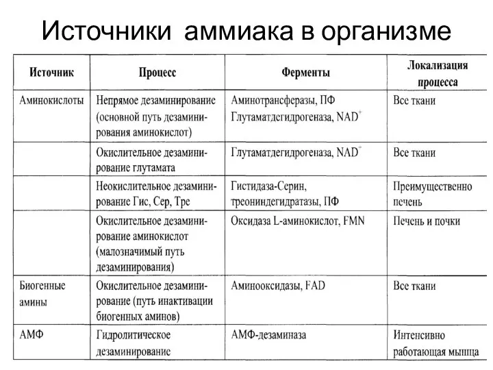 Источники аммиака в организме