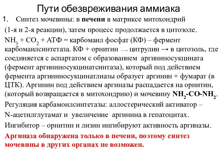 Пути обезвреживания аммиака Синтез мочевины: в печени в матриксе митохондрий (1-я