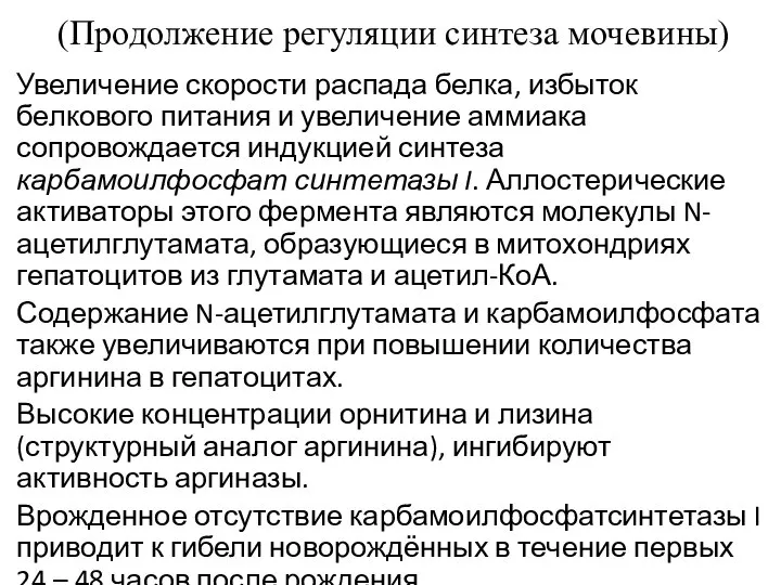 (Продолжение регуляции синтеза мочевины) Увеличение скорости распада белка, избыток белкового питания