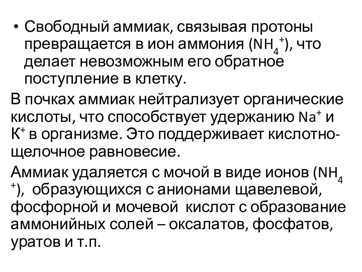 Свободный аммиак, связывая протоны превращается в ион аммония (NH4+), что делает