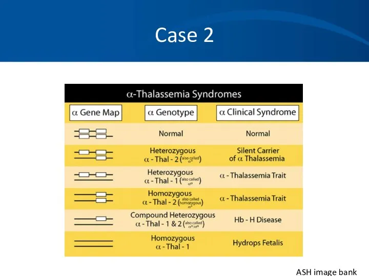 Case 2 ASH image bank