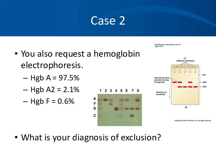 Case 2 You also request a hemoglobin electrophoresis. Hgb A =