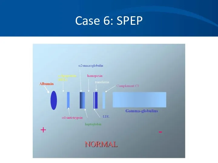 Case 6: SPEP