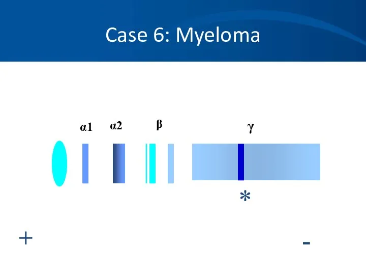 Case 6: Myeloma + - α1 α2 β γ *