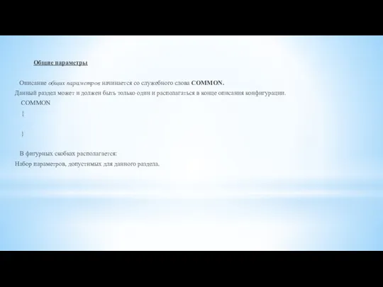 Общие параметры Описание общих параметров начинается со служебного слова COMMON. Данный