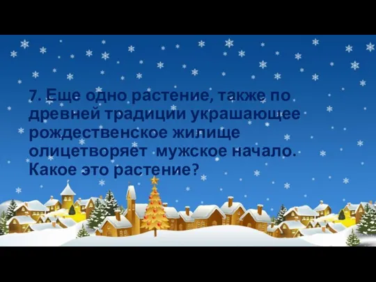 7. Еще одно растение, также по древней традиции украшающее рождественское жилище