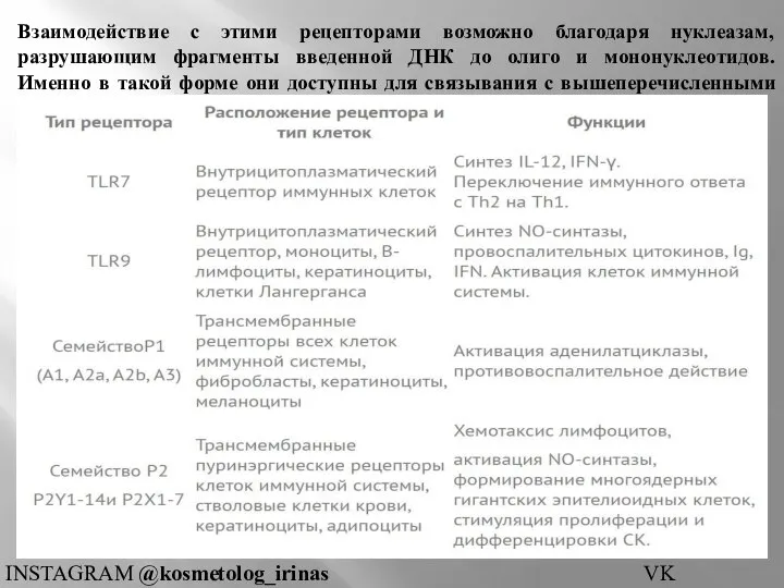 Взаимодействие с этими рецепторами возможно благодаря нуклеазам, разрушающим фрагменты введенной ДНК