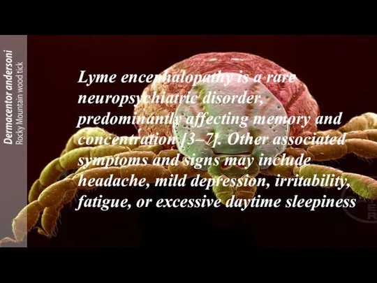 Lyme encephalopathy is a rare neuropsychiatric disorder, predominantly affecting memory and