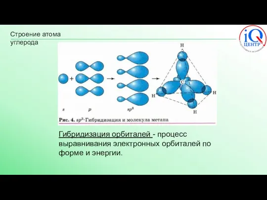 Строение атома углерода Гибридизация орбиталей - процесс выравнивания электронных орбиталей по форме и энергии.