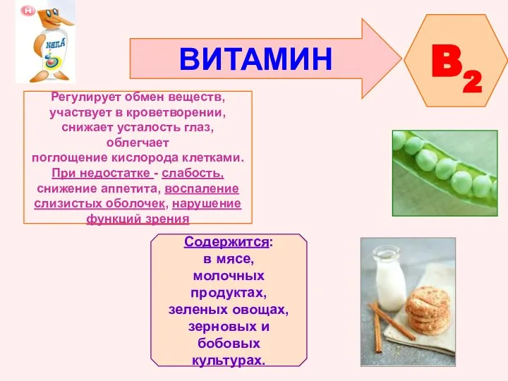 ВИТАМИН B2 Регулирует обмен веществ, участвует в кроветворении, снижает усталость глаз,