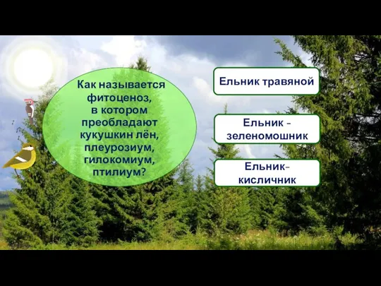 Как называется фитоценоз, в котором преобладают кукушкин лён, плеурозиум, гилокомиум, птилиум? Ельник -зеленомошник Ельник травяной Ельник-кисличник