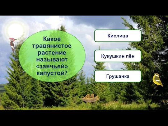 Какое травянистое растение называют «заячьей» капустой? Кислица Кукушкин лён Грушанка