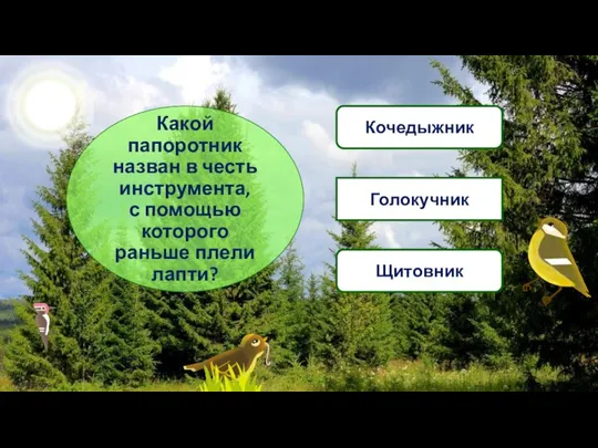 Какой папоротник назван в честь инструмента, с помощью которого раньше плели лапти? Кочедыжник Голокучник Щитовник