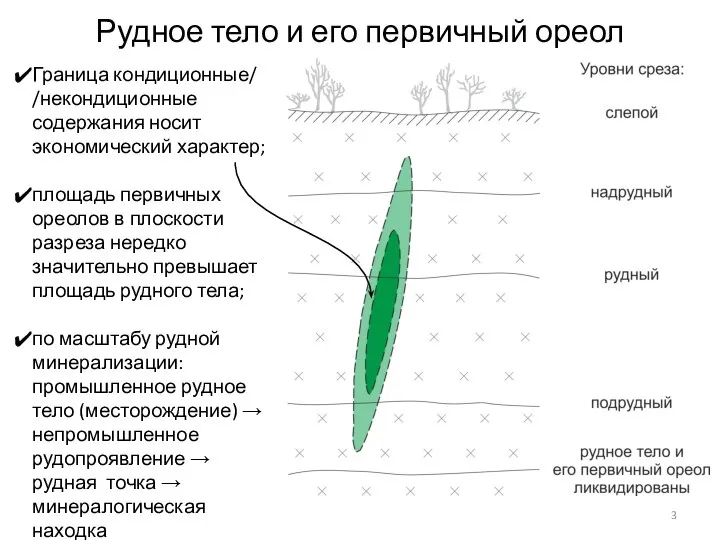 Рудное тело и его первичный ореол Граница кондиционные/ /некондиционные содержания носит