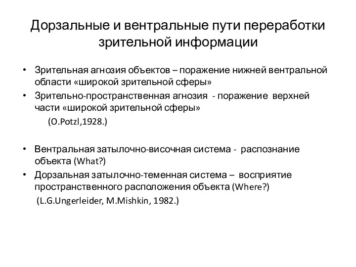 Дорзальные и вентральные пути переработки зрительной информации Зрительная агнозия объектов –