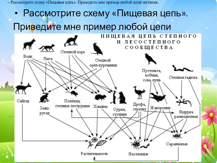 Рассмотрите схему «Пищевая цепь». Приведите мне пример любой цепи питания. –