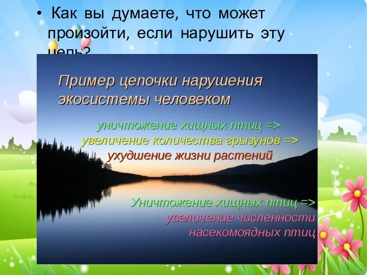 Как вы думаете, что может произойти, если нарушить эту цепь?