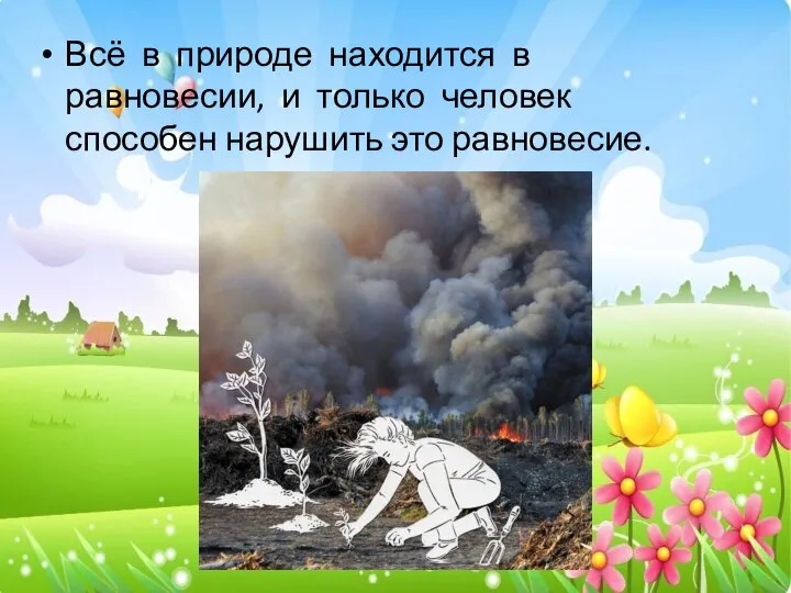 Всё в природе находится в равновесии, и только человек способен нарушить это равновесие.