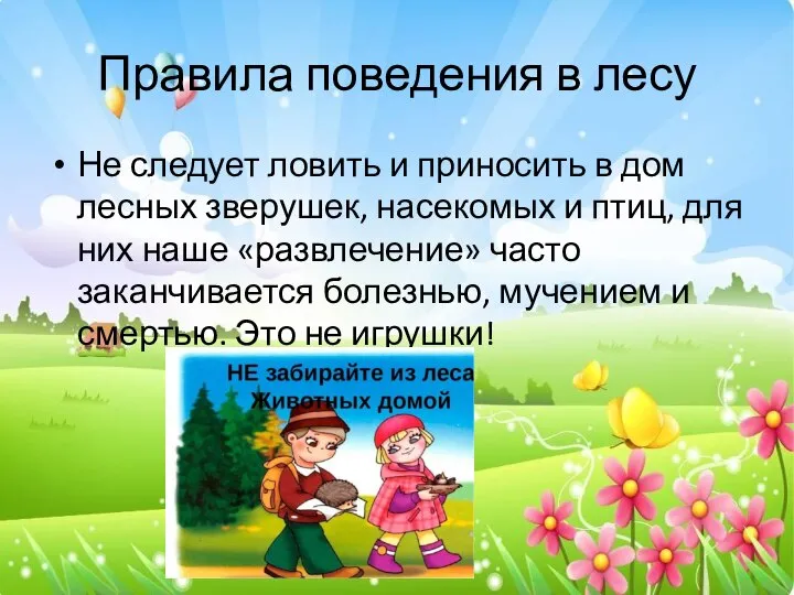 Правила поведения в лесу Не следует ловить и приносить в дом