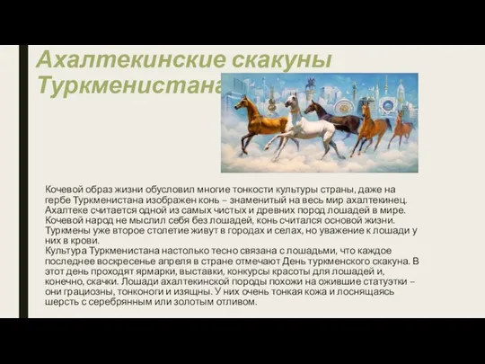Ахалтекинские скакуны Туркменистана Кочевой образ жизни обусловил многие тонкости культуры страны,