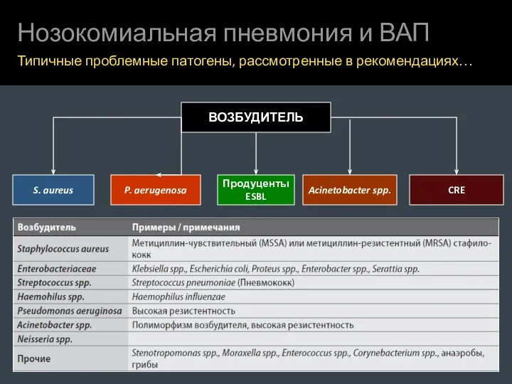 Нозокомиальная пневмония и ВАП Типичные проблемные патогены, рассмотренные в рекомендациях… ВОЗБУДИТЕЛЬ