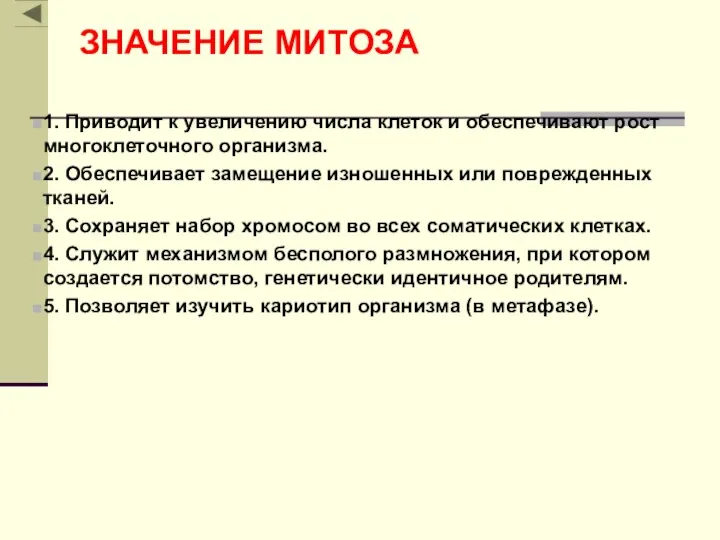 ЗНАЧЕНИЕ МИТОЗА 1. Приводит к увеличению числа клеток и обеспечивают рост