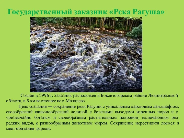 Создан в 1996 г. Заказник расположен в Бокситогорском районе Ленинградской области,