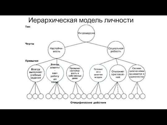 Иерархическая модель личности Всегда доделы- вает работу до конца Готовится к занятиям один