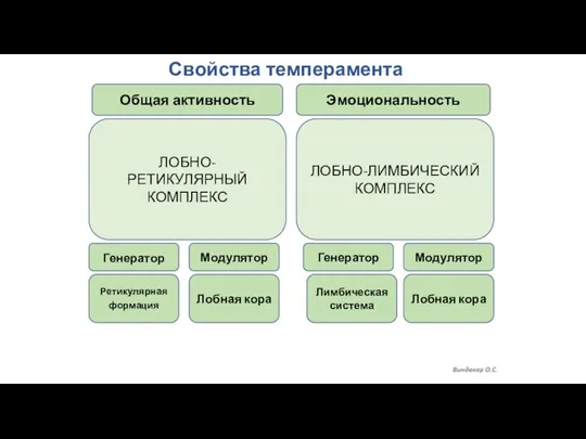 Свойства темперамента . Общая активность Эмоциональность ЛОБНО-РЕТИКУЛЯРНЫЙ КОМПЛЕКС ЛОБНО-ЛИМБИЧЕСКИЙ КОМПЛЕКС Генератор