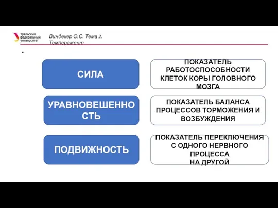 . . СИЛА УРАВНОВЕШЕННОСТЬ ПОДВИЖНОСТЬ ПОКАЗАТЕЛЬ РАБОТОСПОСОБНОСТИ КЛЕТОК КОРЫ ГОЛОВНОГО МОЗГА