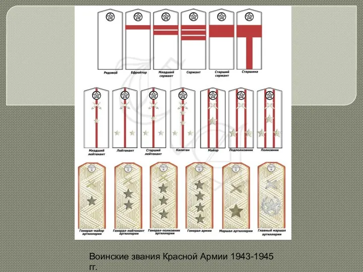 Воинские звания Красной Армии 1943-1945 гг.