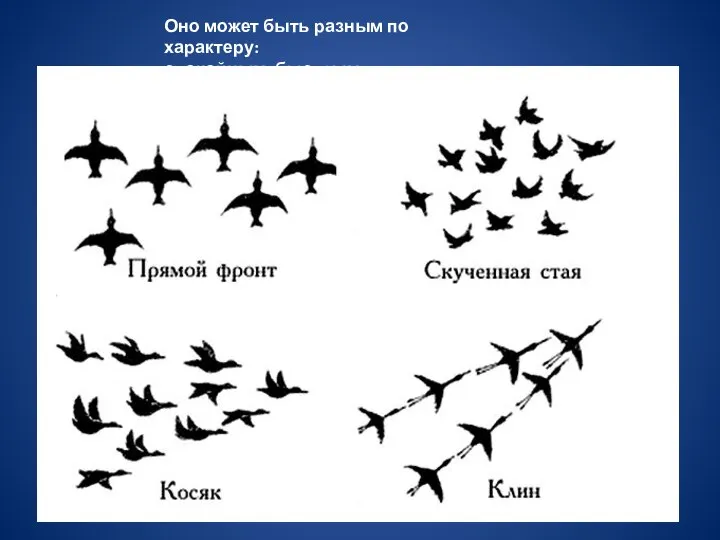 Оно может быть разным по характеру: спокойным, быстрым, беспорядочным.