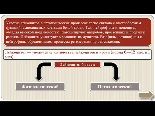 Участие лейкоцитов в патологических процессах тесно связано с многообразием функций, выполняемых