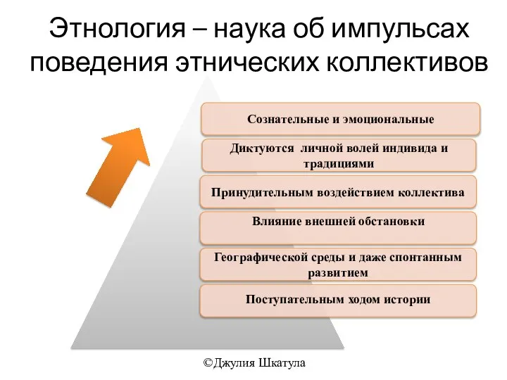 Этнология – наука об импульсах поведения этнических коллективов ©Джулия Шкатула