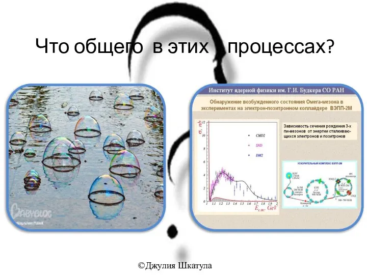 Что общего в этих процессах? ©Джулия Шкатула