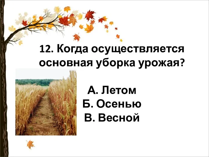 12. Когда осуществляется основная уборка урожая? А. Летом Б. Осенью В. Весной