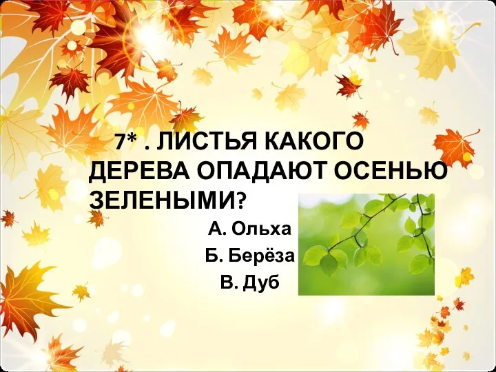 7* . ЛИСТЬЯ КАКОГО ДЕРЕВА ОПАДАЮТ ОСЕНЬЮ ЗЕЛЕНЫМИ? А. Ольха Б. Берёза В. Дуб