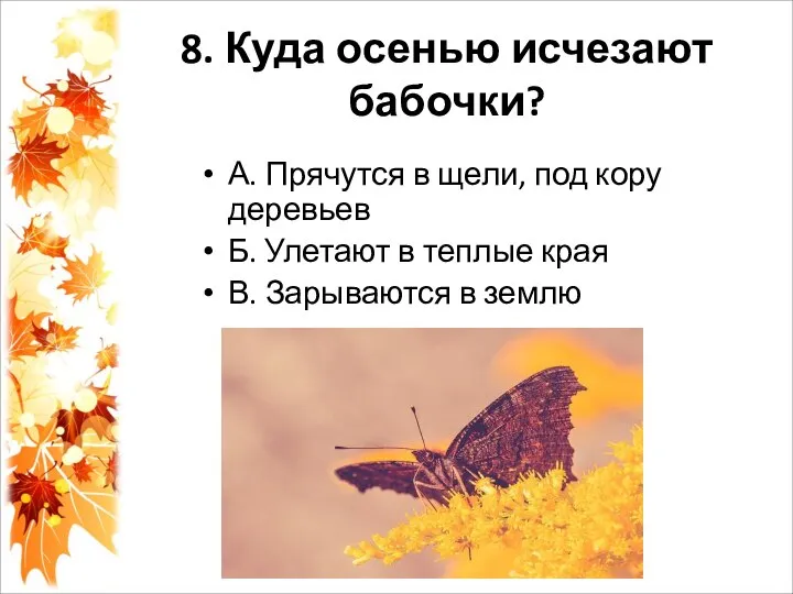 8. Куда осенью исчезают бабочки? А. Прячутся в щели, под кору