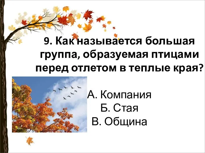 9. Как называется большая группа, образуемая птицами перед отлетом в теплые