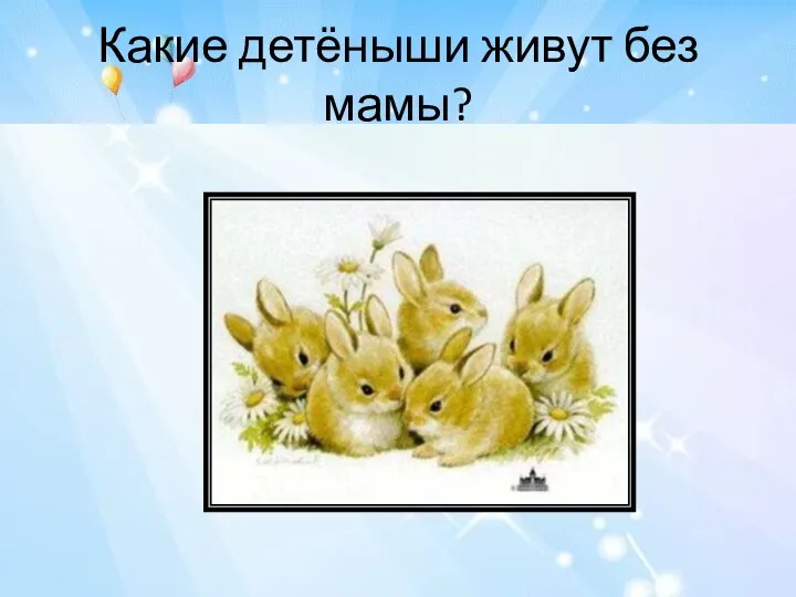 Какие детёныши живут без мамы?