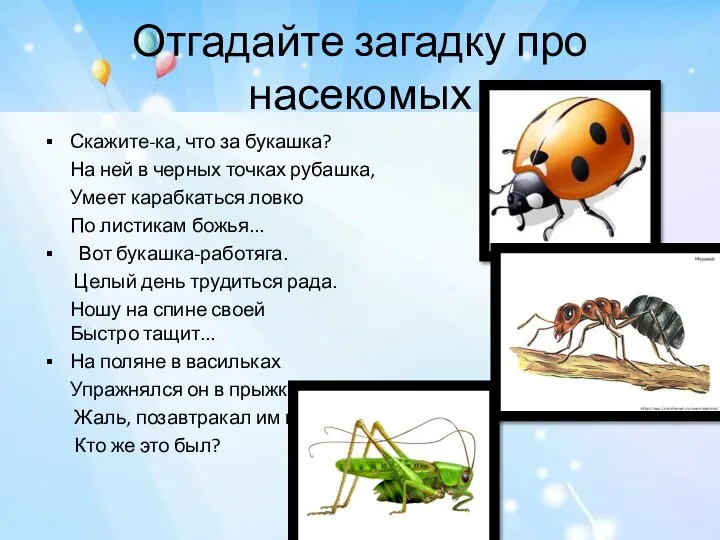 Отгадайте загадку про насекомых Скажите-ка, что за букашка? На ней в