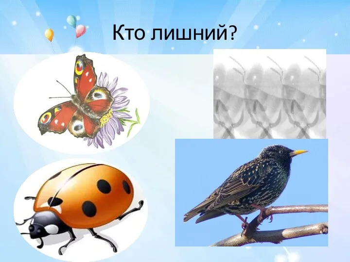 Кто лишний?